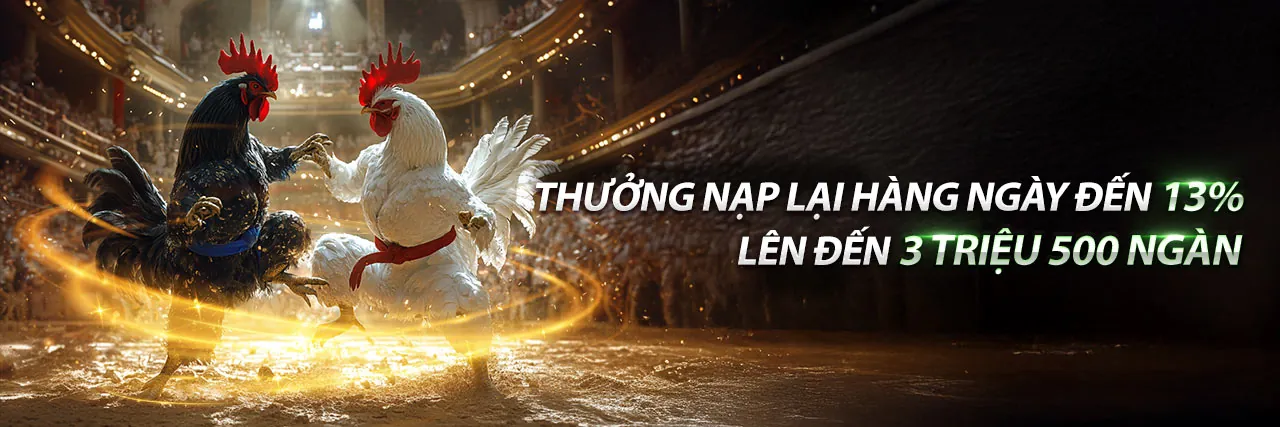 Khám Phá Ưu Đãi Độc Quyền Khi Tham Gia Gà Cam67